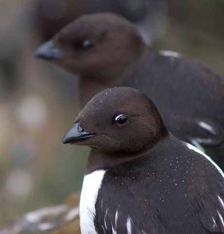 Fot. Marcin Dobas /  Forum