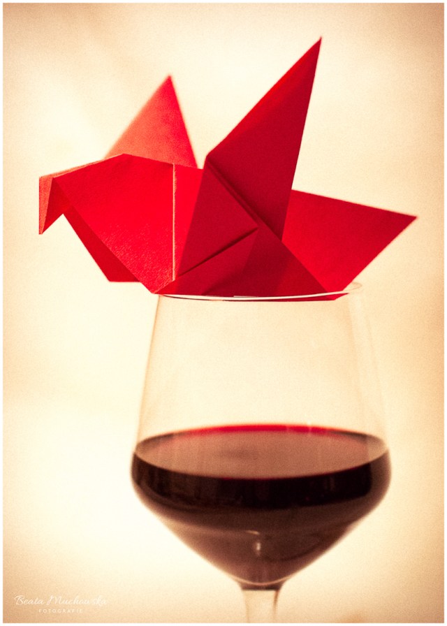 Wino i ptak-białe tło-2